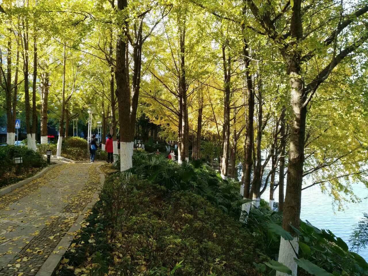 随景 (5).jpg