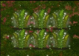 种下迷迭香草种子 成长14分钟 收获迷迭香草植物.jpg