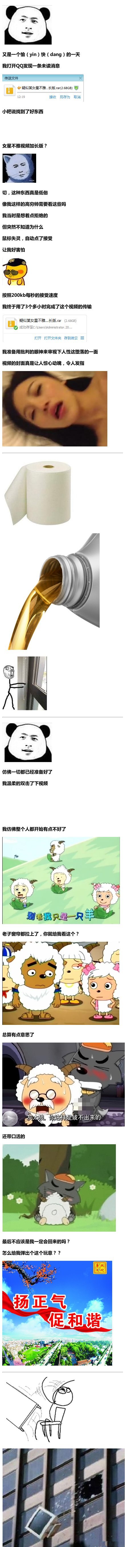 17.jpg