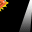 1111.gif