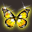 p1.gif