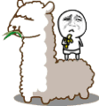 99.gif