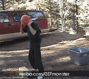cf9c9a16fdfaaf51b3a8fd088c5494eef11f7a40.gif