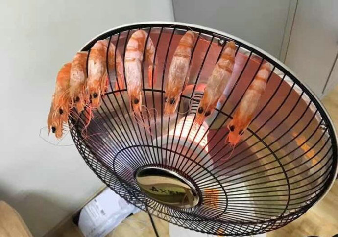 01.jpg