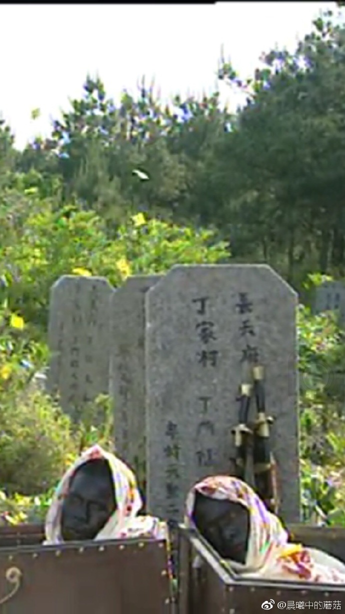 少年包青天.jpg