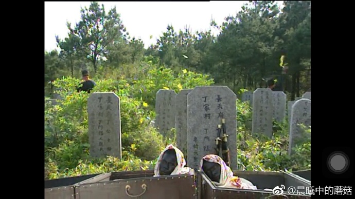 少年包青天2.jpg