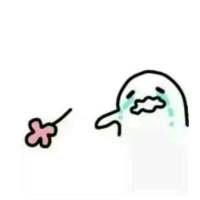 QQ图片20170329084247.png
