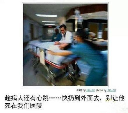 d.jpg