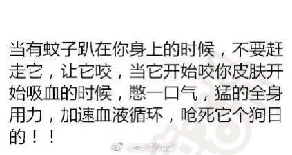 蚊子.jpg