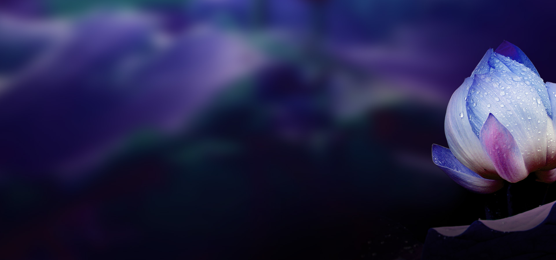 11a5de4bed54d2cb7b6c2dca93bc8c3d.jpg