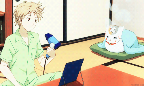 20160417085219_fksEN.gif