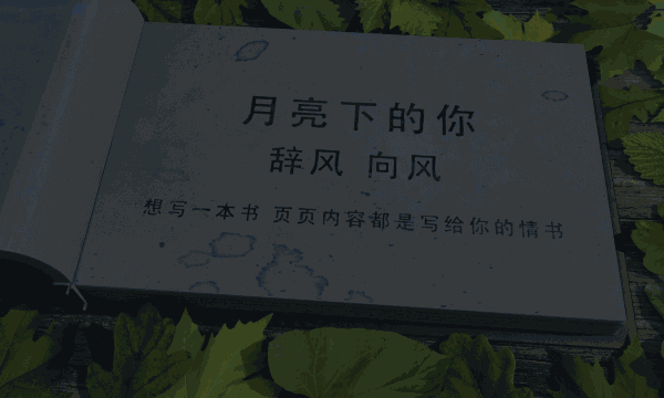 4.gif