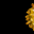 f75822cc04758c7c3af5788cff99a879.gif
