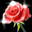 777314840041a8807269fdda5e8af86e.gif