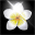 079a19873eb6dc5261c56bf7fc842dce.gif