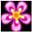 0323efb9276bafdf0ba5d8a1a15ae6f0.png