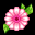 55d2482bc2afdd52be92d74118bd52d6.gif
