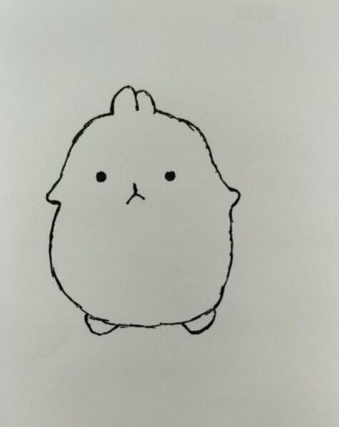 QQ图片20180108121824.jpg