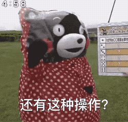 201710172231079481.gif