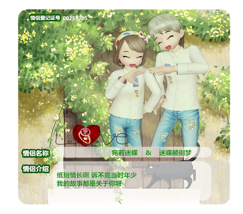 猫登记证.png
