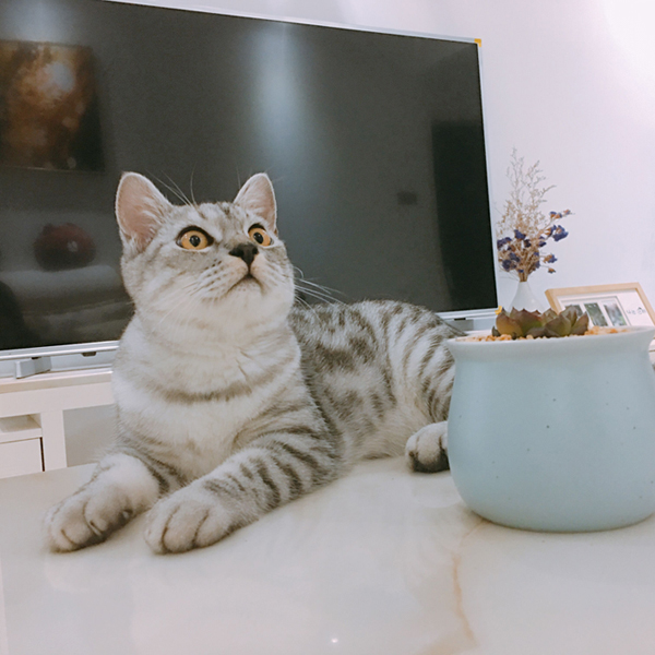 QQ图片20180608123934.jpg