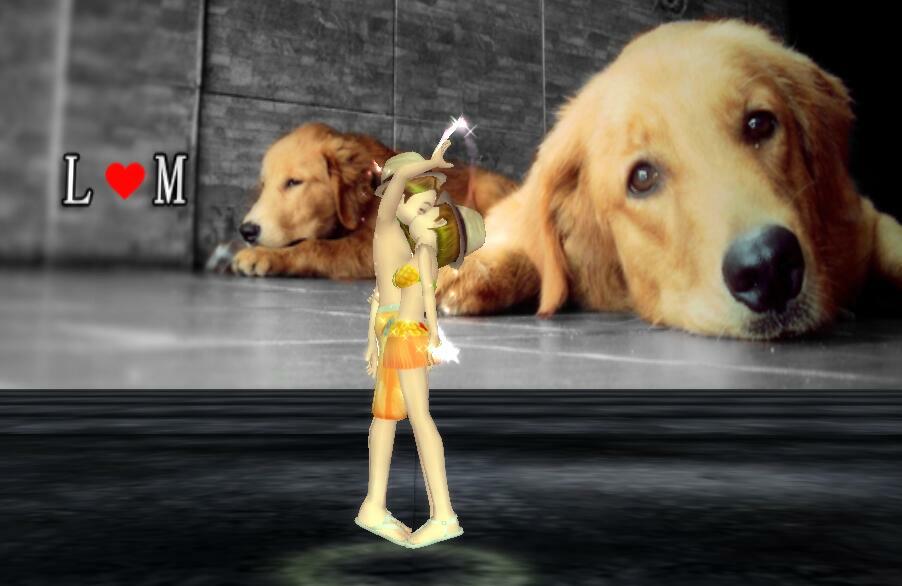 14.jpg