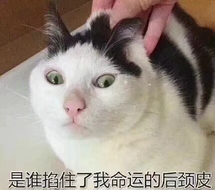 39C77A0F-3DB0-4AF5-A42B-2713288B8B20.jpeg