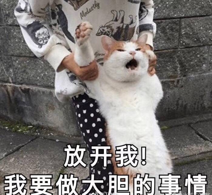 D7E3EE49-8317-4818-8E3E-E4372E2E163D.jpeg