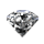 shensui.gif