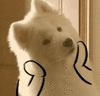 QQ图片20180902102844.gif