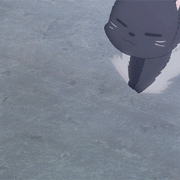 1542258816646.gif