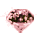 nihongzhizhuan.gif
