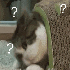 BEACE93C-171E-49B2-A624-0A57A790B674.gif