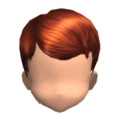 流星花园 男发.png