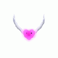 浪漫之心.gif